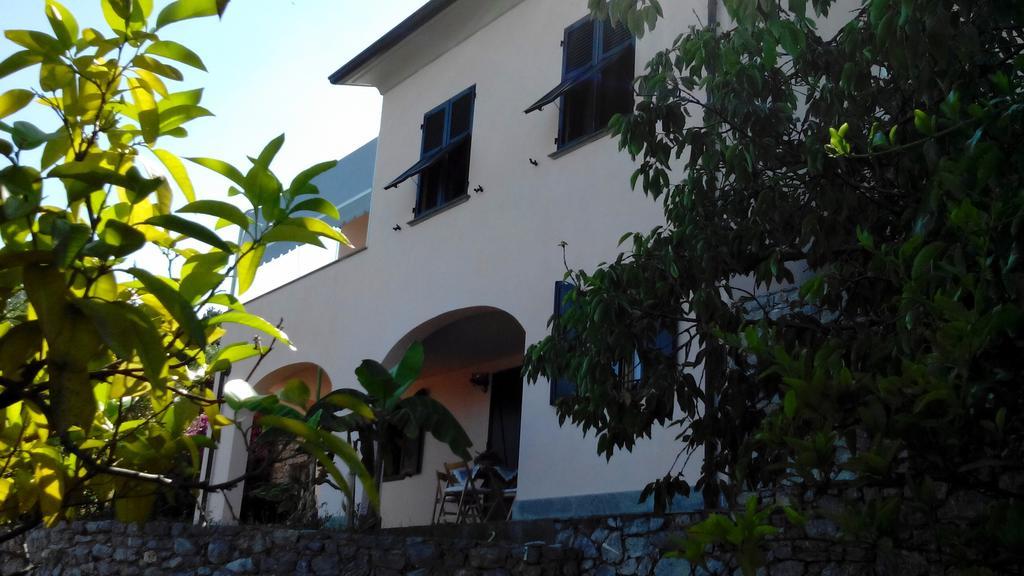 Villa Il Pettirosso La Spezia Buitenkant foto