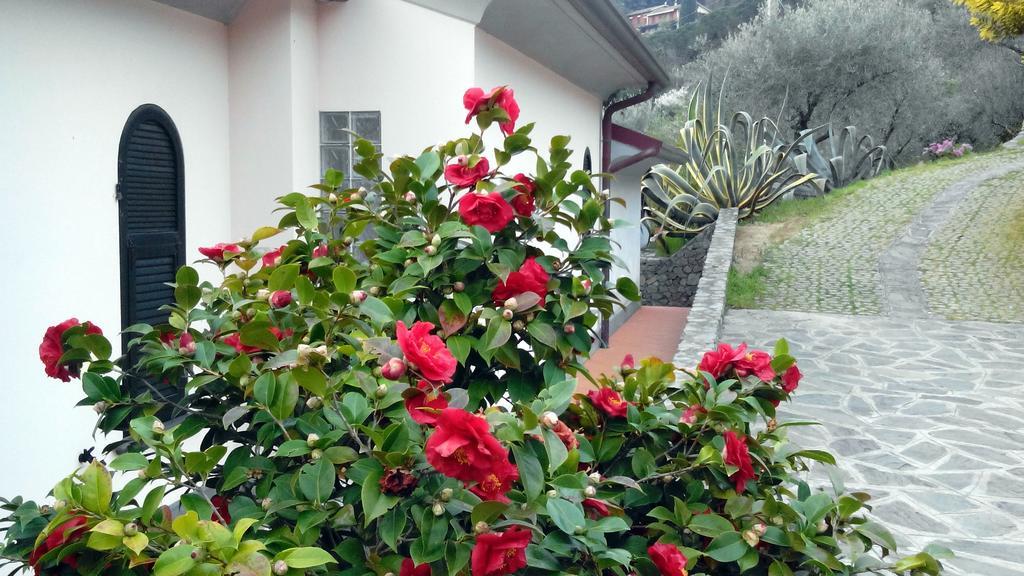 Villa Il Pettirosso La Spezia Kamer foto